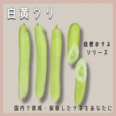 信州産 乙女瓜 ご確認用です♪ 【公式通販】