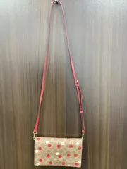 coach/コーチ　シグネチャー　ショルダーバッグ/ショルダーウォレット　りんご柄