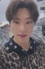 【中古】コレクションカード(男性) SEVENTEEN/DINO(ディノ)/裏面白・文字黒/CD「JAPAN 1ST EP DREAM」(初回限定盤A)封入特典フォトカード