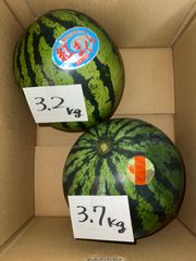 北海道沖縄離島追加送料無し　熊本県産すいか《肥後浪漫3.7kg》《紅まくら3.2kg》現品販売