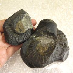 陰陽石 男根石 女陰石 生殖器崇拝 古代信仰 祭祀 発掘 出土 骨董 古