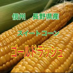 【正規品】とうもろこし ゴールドラッシュ ランダムサイズのサムネイル