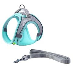 Item thumbnail for item 0ec14a51-cfa5-4972-8ff5-efb076cd5c8e