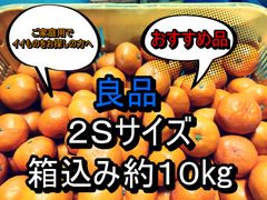 良品　箱込み約10kg　２Ｓサイズ