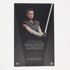 무비 마스터피스 레이(제다이 트레이닝판) STAR WARS(스타워즈)/마지막 제다이 1/6 완성품 가동 피규어(MM#446) 핫 토이즈