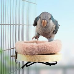 【新品未使用】ケージのアクセサリー鳥 おもちゃバードトイ鳥用品インコ 鳥 セキセイインコ 文鳥 保温ふわふわクッション付きロープ固定小鳥のハウスインキュベーターオカメインコ ヒーター 止まり木寒さ対策(S，ピンク) スタンドインコ 止まり木 インコ おもちゃ鳥