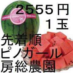 ２５５５円・１玉・第２弾・数量限定・ピノガール「小玉スイカランキング第１位」