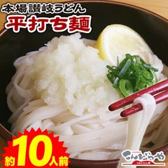 1000円ポッキリ 送料無料 本場讃岐うどん　平打ち麺10人前【送料無料】 ポスト投函便での配送(着日指定不可)