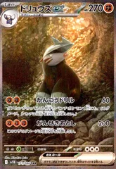 2025年最新】ドリュウズex SARの人気アイテム - メルカリ