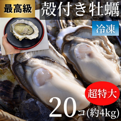 特大！殻付き牡蠣カキ20コ約5〜6kg　CAS冷凍で新鮮 海鮮BBQバーベキュー