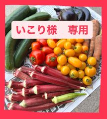 いこり様専用ページ