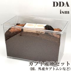 ＼5点フルセット／  産卵マニュアル付き！【DDA】カブト産卵セット ケース 産卵マット ゼリー えさ皿 足場木 床材 入り dda クワガタ カブトムシ 昆虫 産卵セット 飼育セット 自由研究