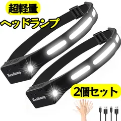 ２個セット　ヘッドライト 充電式 高輝度 人感センサー機能付き USB LEDデュアル光源 5つの照明モード SOS点滅 広角照明 小型軽量 ヘッドランプ ヘルメットライト 夜釣り キャンプ ランニング 防災