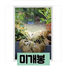 2025年最新】hyukohの人気アイテム - メルカリ