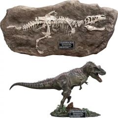 ✨お得なセット✨ ティラノサウルス トリケラトプス 化石 ジュラシック