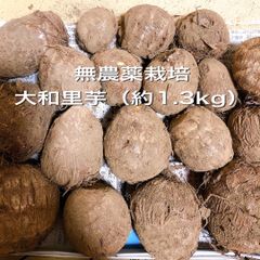 無農薬栽培（大和里芋）約1.3kg