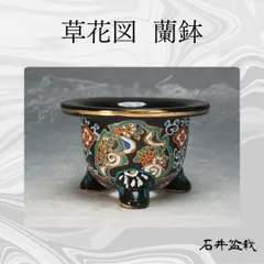 2025年最新】万年青 鉢の人気アイテム - メルカリ