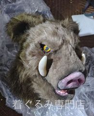 7月15日まで大幅値下げ‼️【超希少】ミナミコアリクイの剥製 美品