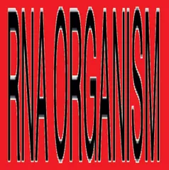 2LP R.N.A. Organism Unaffected Mixes Plus SWDTR11 φonon /00520