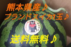 産地直送　熊本県産　スイカ×1玉　L～2Lサイズ(6～7キロ)