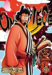 ONE PIECE ワンピース 20thシーズン ワノ国編 R-23(第983話～第986話)【アニメ 中古 DVD】ケース無:: レンタル落ち