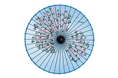 2024年最新】絹傘の人気アイテム - メルカリ