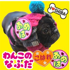 わんこの名札★刺繍★オーダー 犬 可愛い 豚 ブタ うちのこ フェルト オフ会 イベント 迷子札