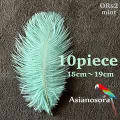 ◾️⭐︎【ORs2ミント】10本15-19cm オーストリッチ フェザー 羽根 鳥の羽根