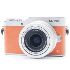2025年最新】Panasonic ミラーレス一眼カメラ ルミックス GF9