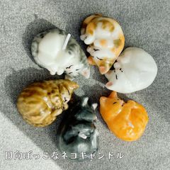 히나타 보쿤 고양이 촛불 [손 촛불]
