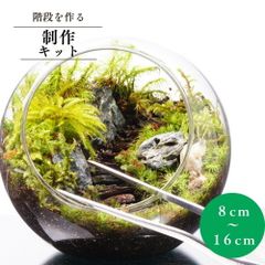 【スターターキット】 階段を作る 苔テラリウム テラリウム 新生活 入学祝い 歓迎会 送別会 ホワイトデー プレゼント  自作  作成キット ハンドメイド 手作り ギフト インテリア 観葉植物 おしゃれ 贈り物　苔の風景