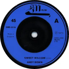 2025年最新】sweet williamの人気アイテム - メルカリ
