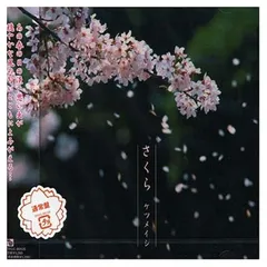 2026年最新】桜並木を見上げて さくら SECの人気アイテム - メルカリ