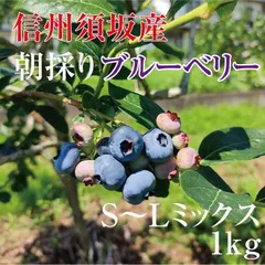 2025年最新】ブルーベリー チャンドラーの人気アイテム - メルカリ