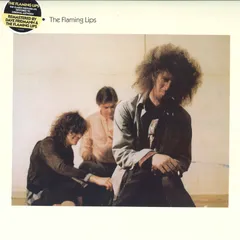 2025年最新】flaming lips レコードの人気アイテム - メルカリ