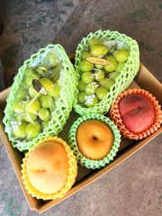 mirakuru様専用です！