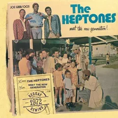 米CD Heptones Meet The Now Generation VPCD4152 VP US /00095