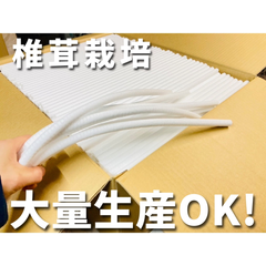 【限定品！】椎茸栽培 発泡スチロール栓 12~12.7mm 100,000個入