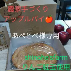 あぺとぺ様専用】農家手づくりアップルパイ - メルカリ
