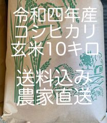 令和4年産　100%栃木県産　コシヒカリ　玄米10キロ