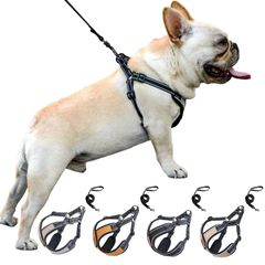新品 Paipeper 犬 ハーネス リードセット 小型犬ハーネス 中型犬ハーネス 牽引ロープ 胴輪 ドッグウエア 反射光ストリップ付き メッシュ おしゃれ 調節可能 お散歩 着脱簡単（オレンジＭ：６－１０ＫＧ適用）