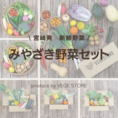 グッドふとんマーク取得 【2倍量】九州産 新鮮野菜 詰め合わせセット