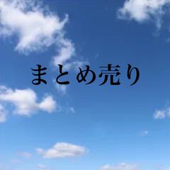 ロールアップ網戸 140サイズ