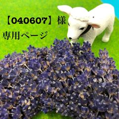 【040607】様専用ページ