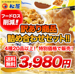 ☆60食限定☆「ザ・訳あり商品詰合せセット」 4種20品の詰合せ！《フードロス削減！》