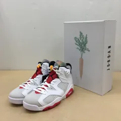 NIKE AIR JORDAN 6 NEUTRAL GREY/HARE CT8529-062 サイズ27cm【WS328-003】