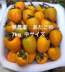 愛宕柿　7kg 無農薬　渋柿　柚子おまけ付
