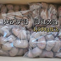 Sサイズ　ジャガイモ　種芋　◯『グランドペチカ』正式名称は『グラウンドペチカ』『デストロイヤー』内容量4500g以上+サービス増量