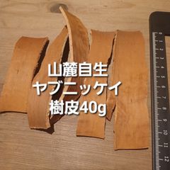 山麓自生ヤブニッケイ樹皮40g