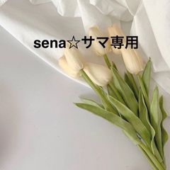 sena☆サマ専用